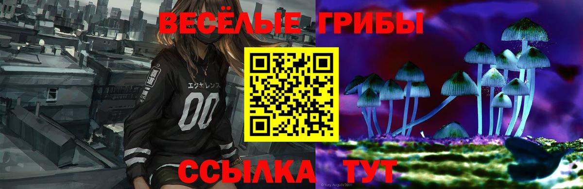 Псилоцибиновые грибы Psilocybe Балаково